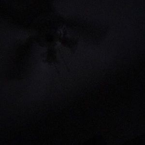 Meet your Posher, Lonnie